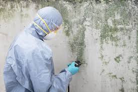 Reliable Hubbard, OH Mold Remediation Solutions